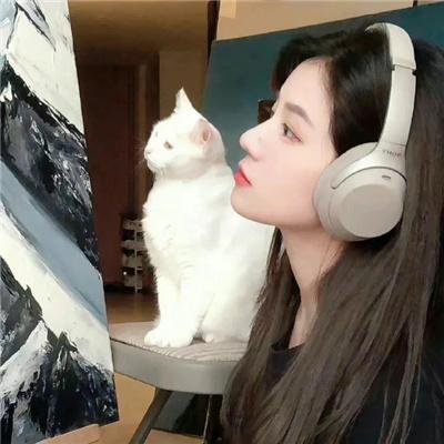 停尸房收藏
